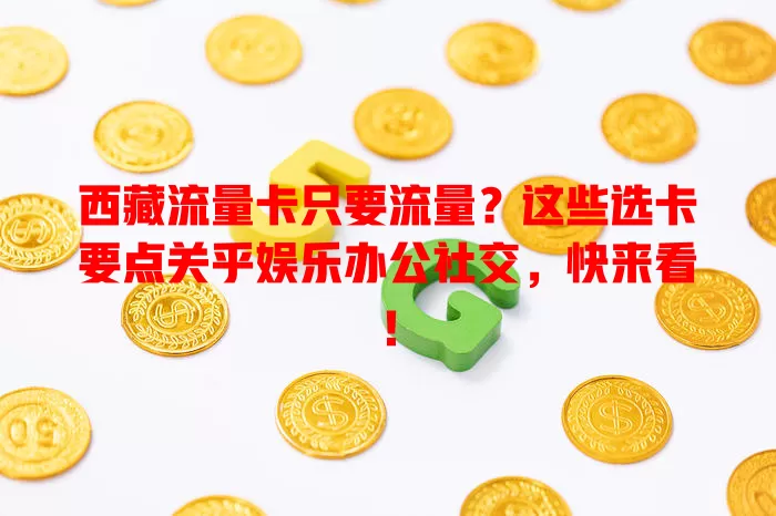 西藏流量卡只要流量？这些选卡要点关乎娱乐办公社交，快来看！