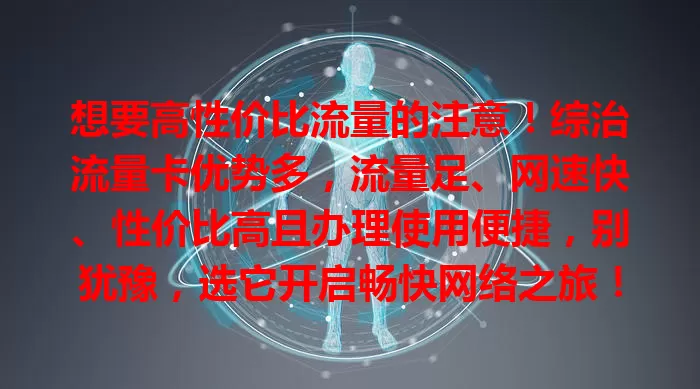想要高性价比流量的注意！综治流量卡优势多，流量足、网速快、性价比高且办理使用便捷，别犹豫，选它开启畅快网络之旅！