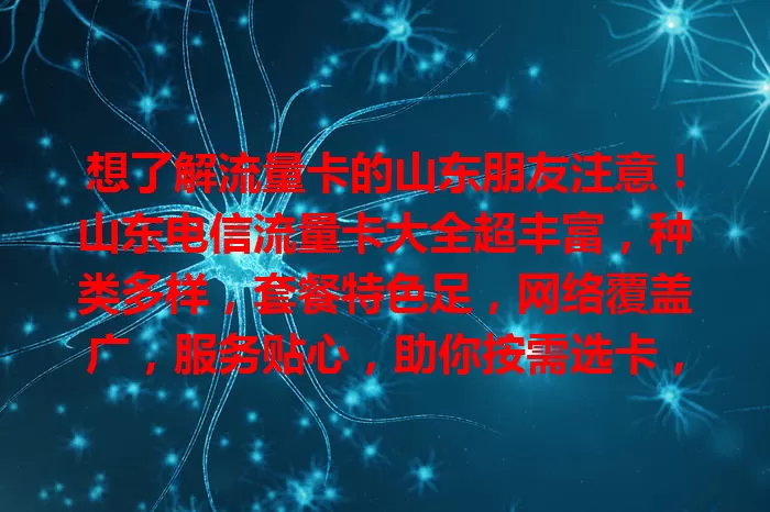 想了解流量卡的山东朋友注意！山东电信流量卡大全超丰富，种类多样，套餐特色足，网络覆盖广，服务贴心，助你按需选卡，畅享数字生活