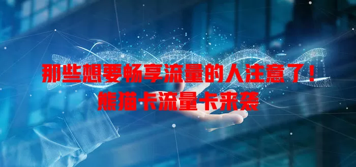 那些想要畅享流量的人注意了！熊猫卡流量卡来袭