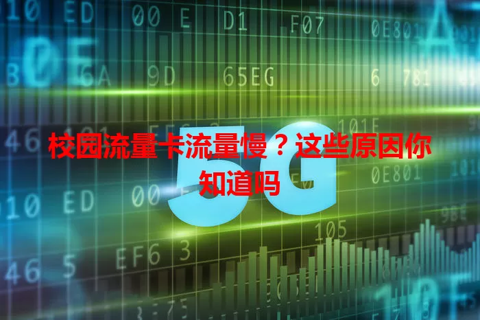 校园流量卡流量慢？这些原因你知道吗