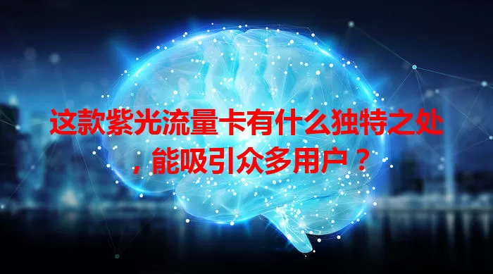这款紫光流量卡有什么独特之处，能吸引众多用户？