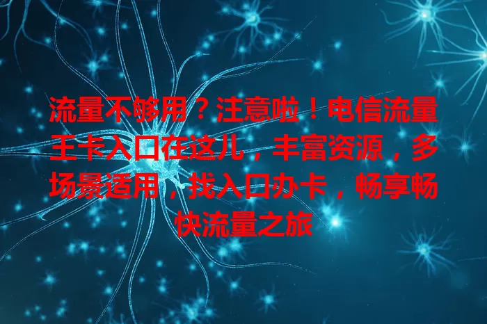 流量不够用？注意啦！电信流量王卡入口在这儿，丰富资源，多场景适用，找入口办卡，畅享畅快流量之旅
