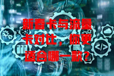 新春卡与流量卡对比，你更适合哪一款？
