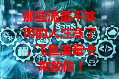 那些流量不够用的人注意了，飞鱼流量卡来救你！