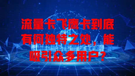流量卡飞鹰卡到底有何独特之处，能吸引众多用户？