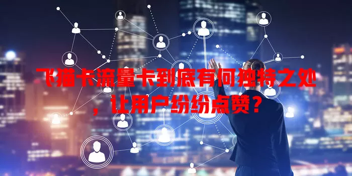 飞猫卡流量卡到底有何独特之处，让用户纷纷点赞？