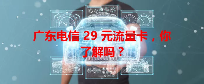 广东电信 29 元流量卡，你了解吗？
