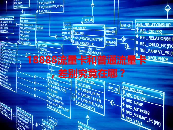 18888流量卡和普通流量卡，差别究竟在哪？