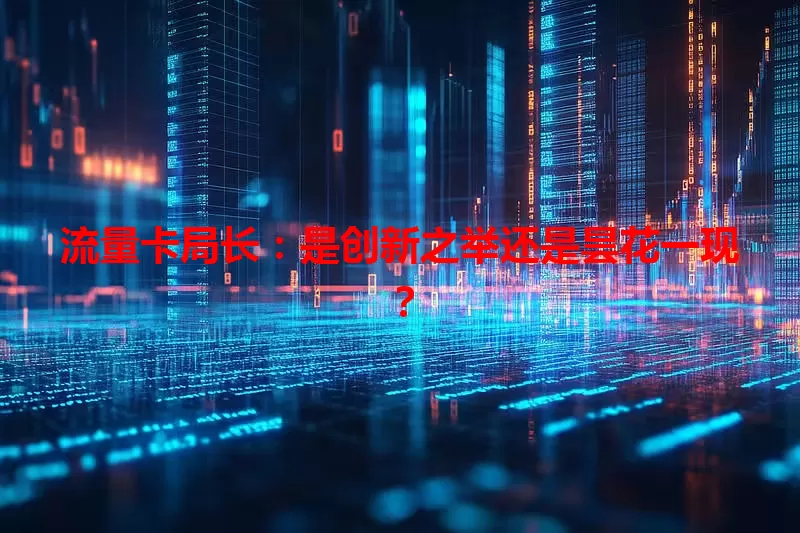 流量卡局长：是创新之举还是昙花一现？