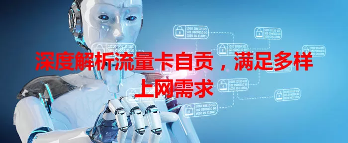 深度解析流量卡自贡，满足多样上网需求