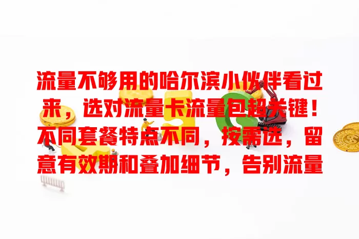 流量不够用的哈尔滨小伙伴看过来，选对流量卡流量包超关键！不同套餐特点不同，按需选，留意有效期和叠加细节，告别流量困扰畅享网络生活