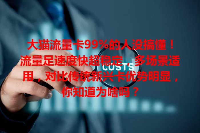 大猫流量卡99%的人没搞懂！流量足速度快超稳定，多场景适用，对比传统新兴卡优势明显，你知道为啥吗？