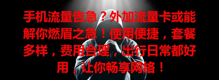 手机流量告急？外加流量卡或能解你燃眉之急！使用便捷，套餐多样，费用合理，出行日常都好用，让你畅享网络！