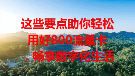 这些要点助你轻松用好800流量卡，畅享数字化生活