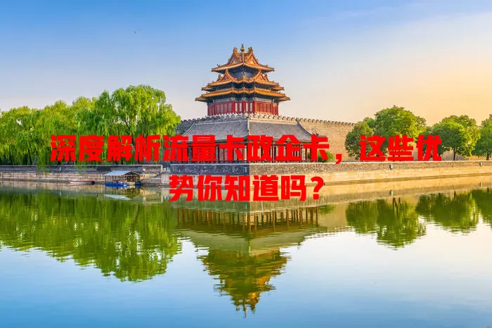 深度解析流量卡政企卡，这些优势你知道吗？