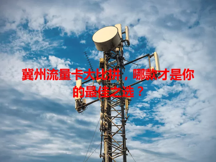 冀州流量卡大比拼，哪款才是你的最佳之选？