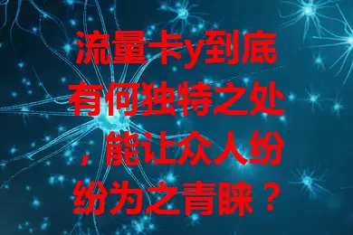 流量卡y到底有何独特之处，能让众人纷纷为之青睐？