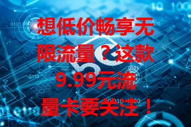 想低价畅享无限流量？这款9.99元流量卡要关注！数字化时代流量需求大，它对学生和上班族都是福音。选卡别只看价格，还要留意网络等因素。办理前了解详情规则，理性使用，让它成网络生活好帮手。