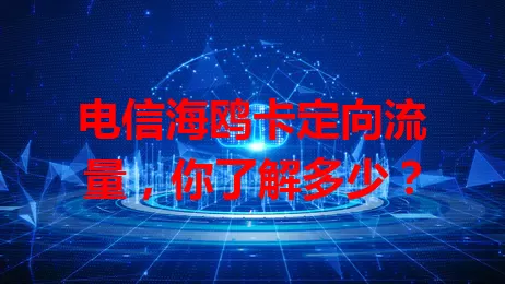 电信海鸥卡定向流量，你了解多少？