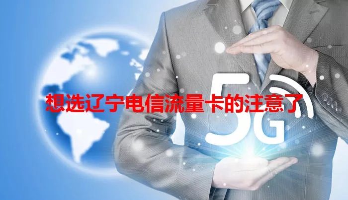 想选辽宁电信流量卡的注意了