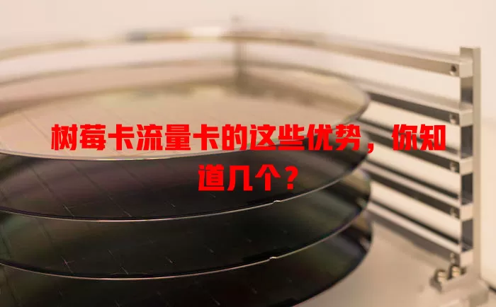 树莓卡流量卡的这些优势，你知道几个？