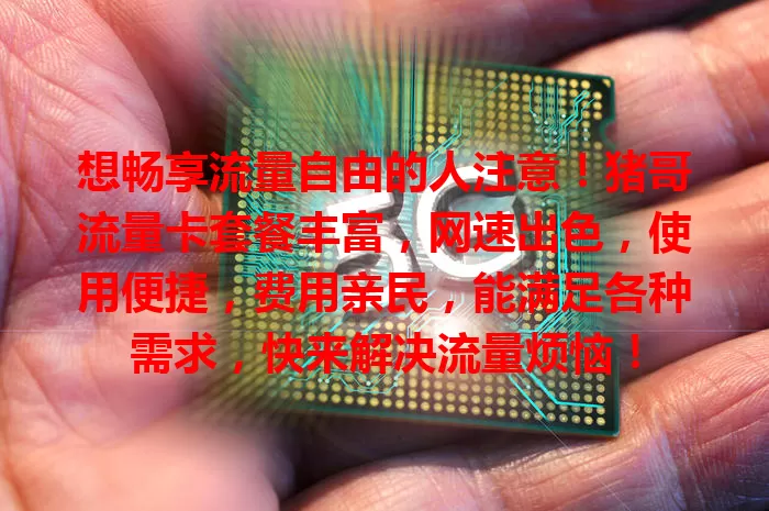 想畅享流量自由的人注意！猪哥流量卡套餐丰富，网速出色，使用便捷，费用亲民，能满足各种需求，快来解决流量烦恼！