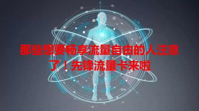 那些想要畅享流量自由的人注意了！先锋流量卡来啦