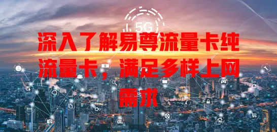 深入了解易尊流量卡纯流量卡，满足多样上网需求