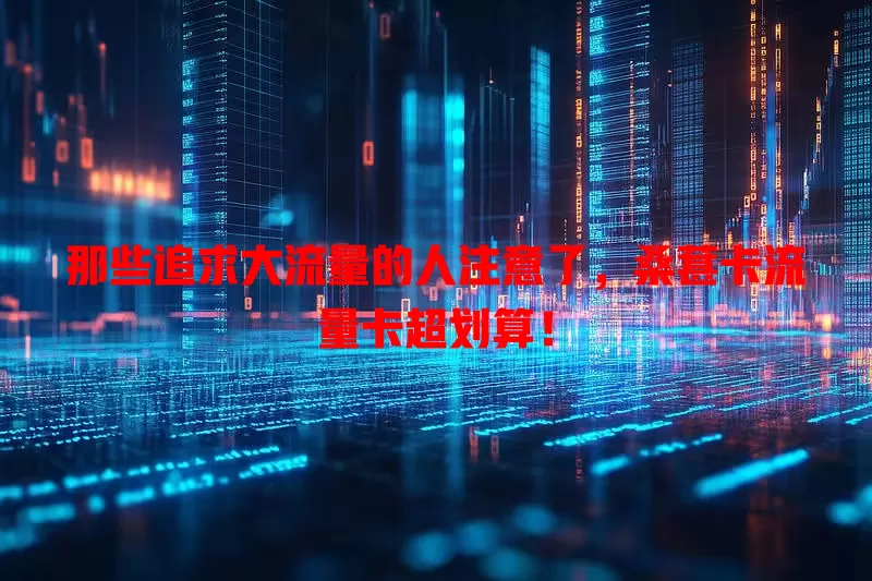 那些追求大流量的人注意了，桑葚卡流量卡超划算！