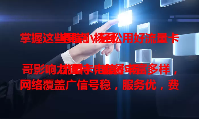 掌握这些要点，轻松用好流量卡电信小杨哥

流量卡电信小杨哥影响力独特，套餐丰富多样，网络覆盖广信号稳，服务优，费用合理还有优惠。深入了解其特点，就能畅享畅快网络生活