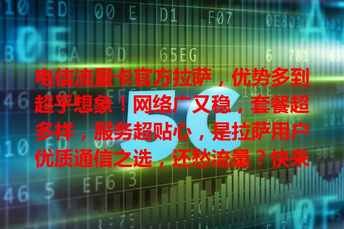 电信流量卡官方拉萨，优势多到超乎想象！网络广又稳，套餐超多样，服务超贴心，是拉萨用户优质通信之选，还愁流量？快来体验！