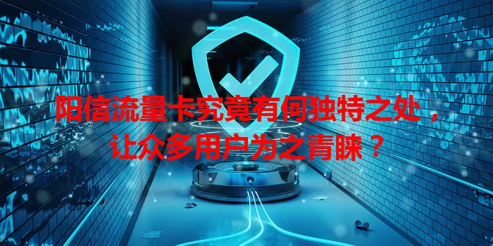 阳信流量卡究竟有何独特之处，让众多用户为之青睐？