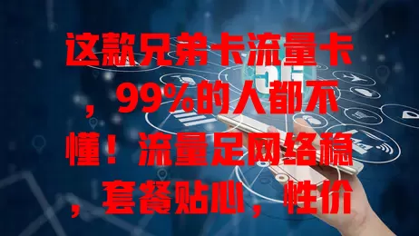 这款兄弟卡流量卡，99%的人都不懂！流量足网络稳，套餐贴心，性价比高，办理简便，客服超棒，还不快来试试？