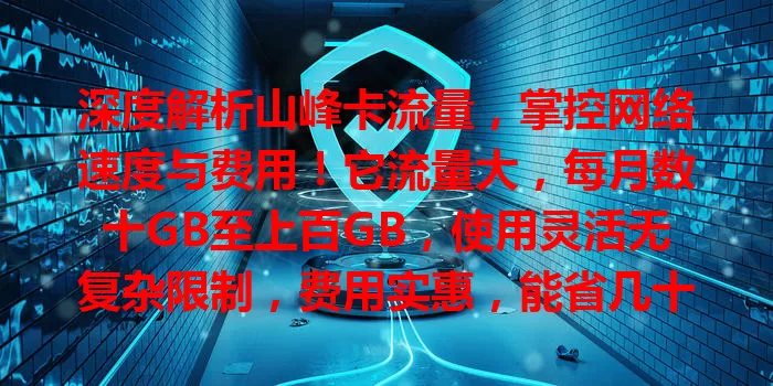 深度解析山峰卡流量，掌控网络速度与费用！它流量大，每月数十GB至上百GB，使用灵活无复杂限制，费用实惠，能省几十元，助你选适合套餐畅享网络。