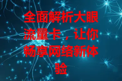 全面解析大眼流量卡，让你畅享网络新体验