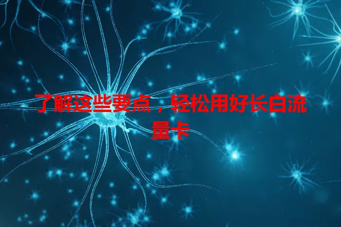 了解这些要点，轻松用好长白流量卡