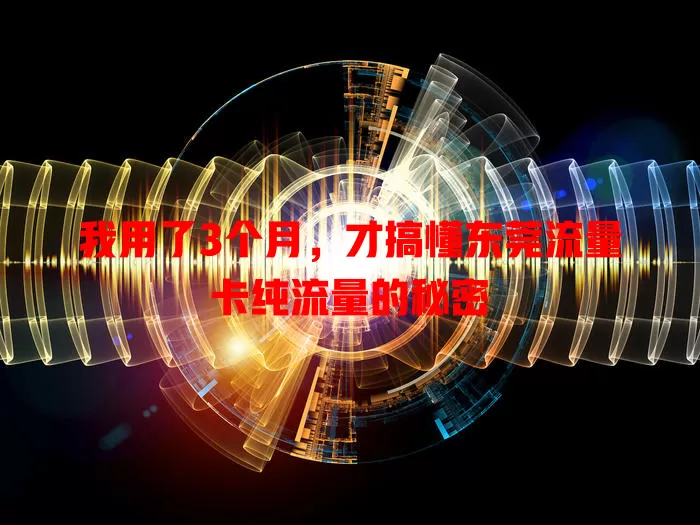 我用了3个月，才搞懂东莞流量卡纯流量的秘密