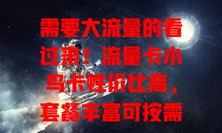 需要大流量的看过来！流量卡小鸟卡性价比高，套餐丰富可按需定制，网络稳定体验佳