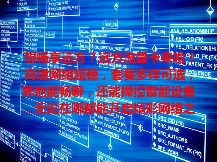 想畅享远方？远方流量卡来啦！高速网络超稳，套餐多样可选，异地能畅聊，还能操控智能设备，无论在哪都能开启精彩网络之旅