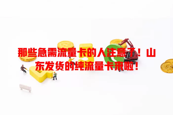 那些急需流量卡的人注意了！山东发货的纯流量卡来啦！