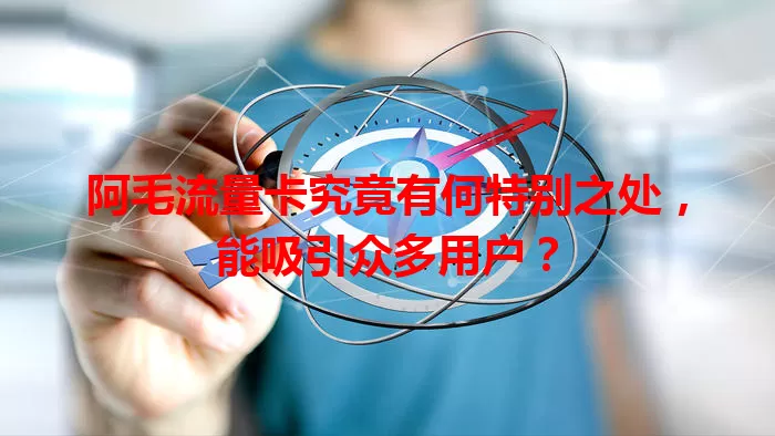 阿毛流量卡究竟有何特别之处，能吸引众多用户？