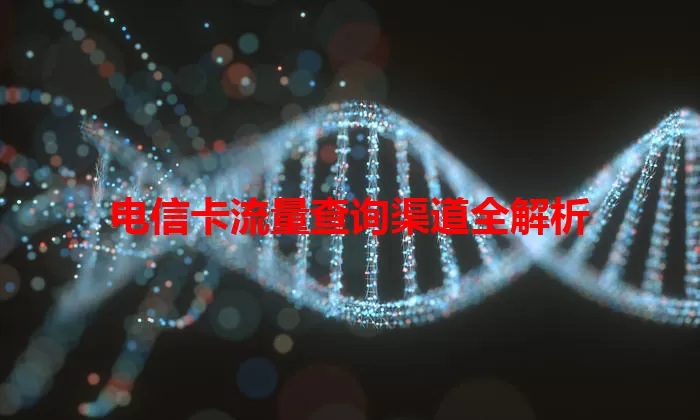 电信卡流量查询渠道全解析