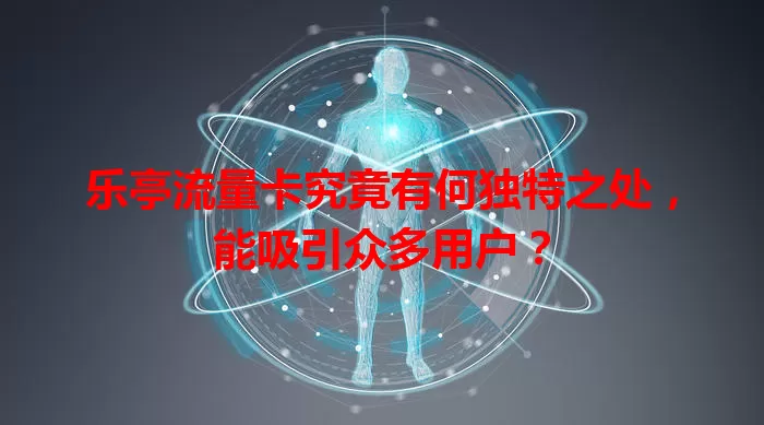 乐亭流量卡究竟有何独特之处，能吸引众多用户？