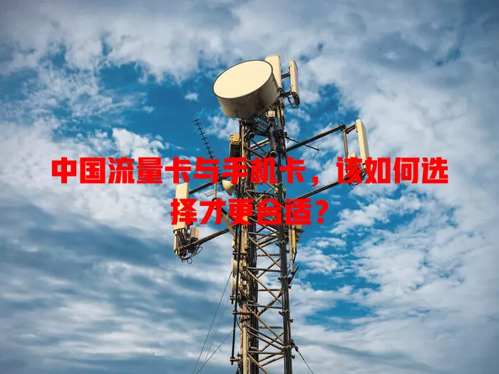 中国流量卡与手机卡，该如何选择才更合适？