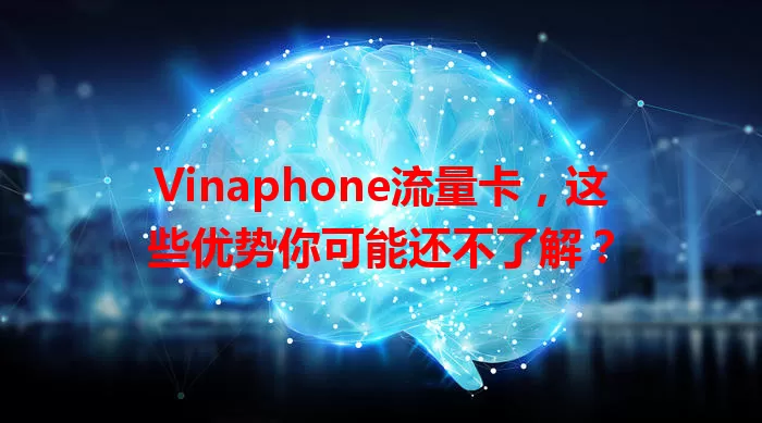 Vinaphone流量卡，这些优势你可能还不了解？