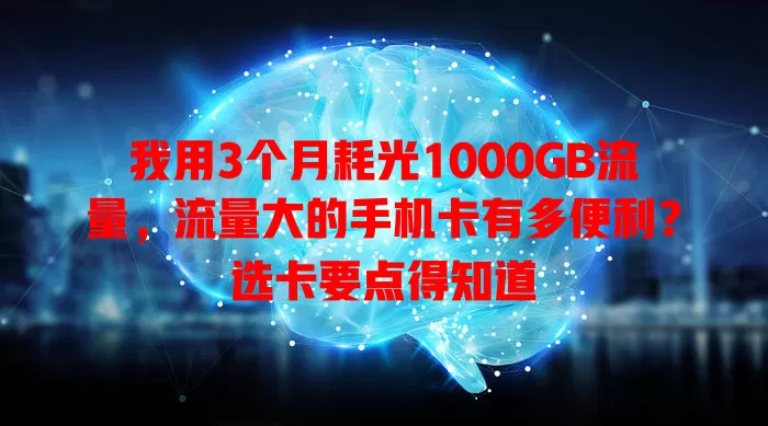 我用3个月耗光1000GB流量，流量大的手机卡有多便利？选卡要点得知道