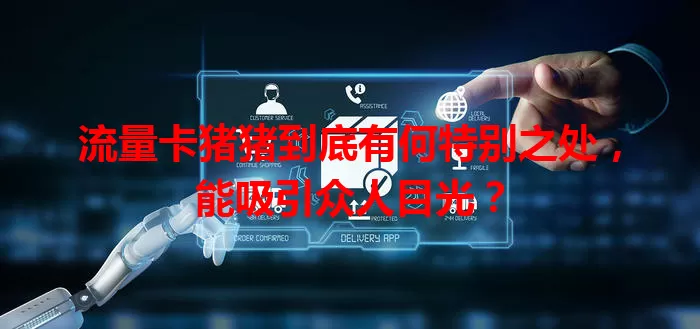 流量卡猪猪到底有何特别之处，能吸引众人目光？