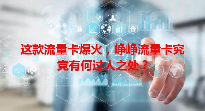 这款流量卡爆火，峥峥流量卡究竟有何过人之处？