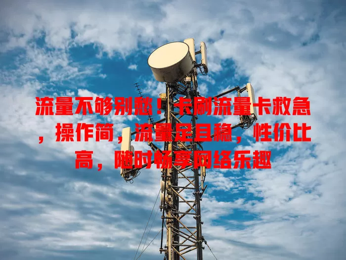 流量不够别愁！卡刷流量卡救急，操作简，流量足且稳，性价比高，随时畅享网络乐趣